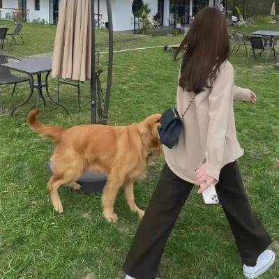 最后的兵团