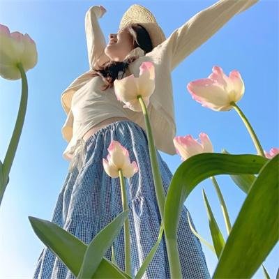 合约谋杀案